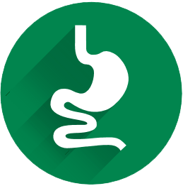 physiostim transit lent