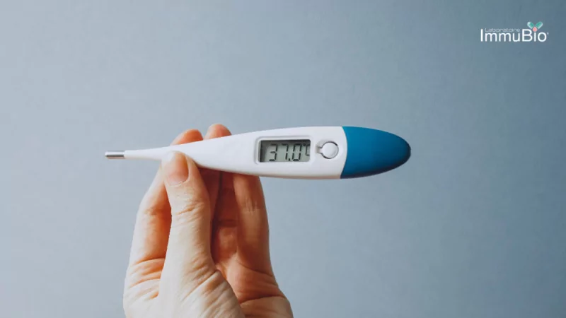 Que manger en cas de fièvre ?